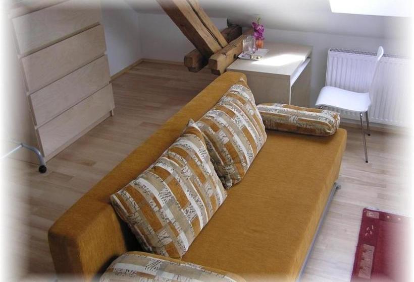 پانسیون Penzion Viktoria