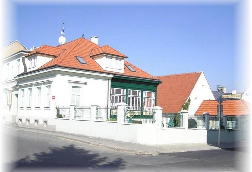 پانسیون Penzion Viktoria