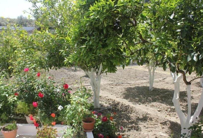 פנסיון Hariklia Rent Rooms