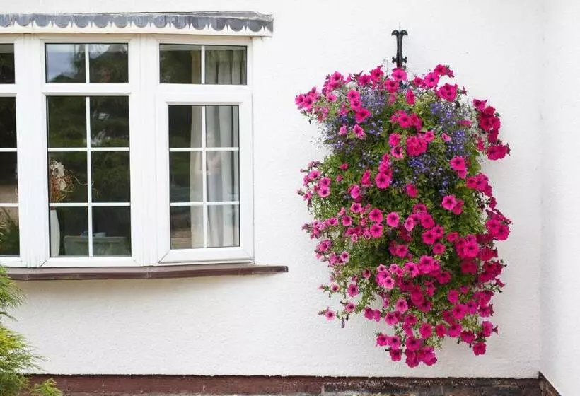 Отель Badgers Mount