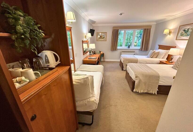 Отель New Forest Lodge