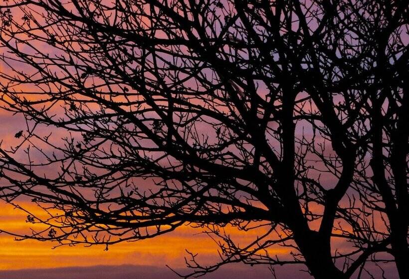 Отель Rufford Arms