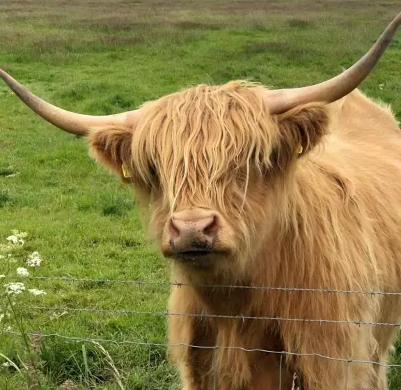 Отель Sinclair Bay Apartments