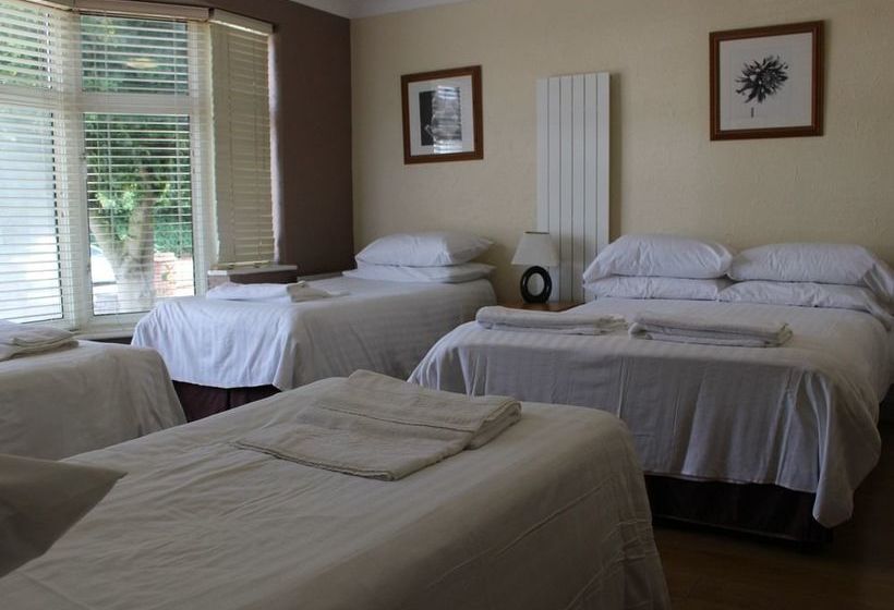 酒店 Willow Guest House