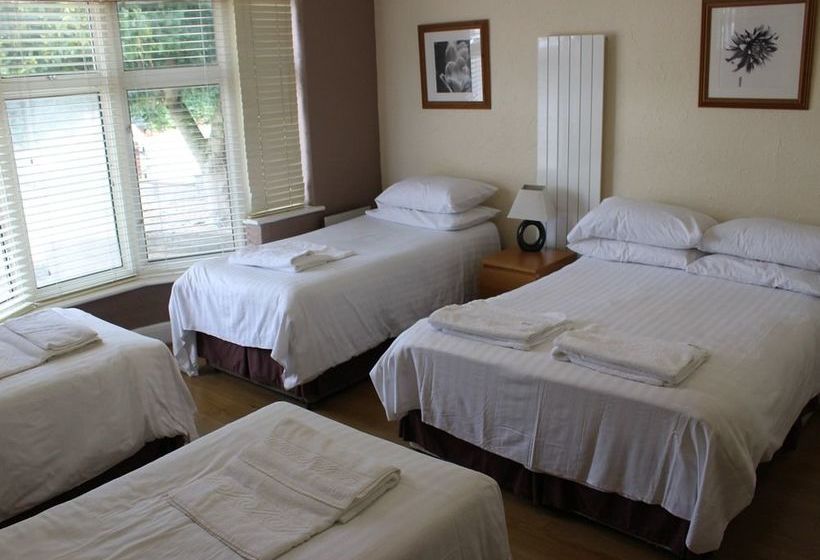 酒店 Willow Guest House