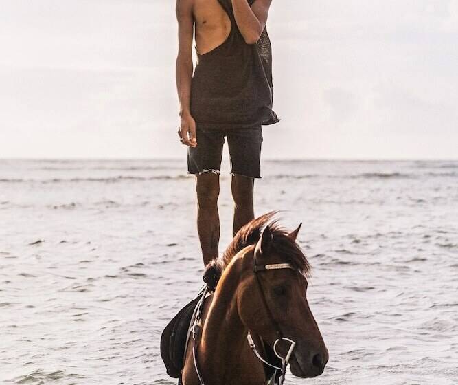 پانسیون Living Trawangan