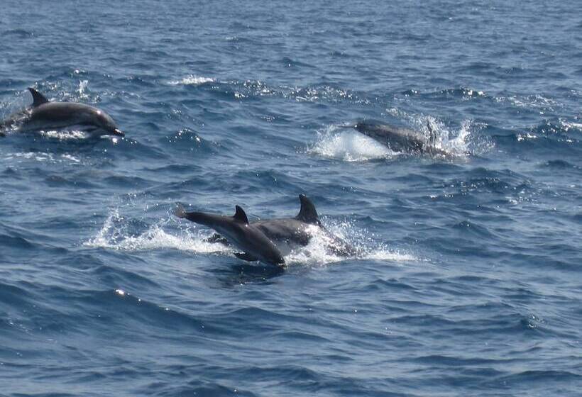Casa Florinda Tarifa