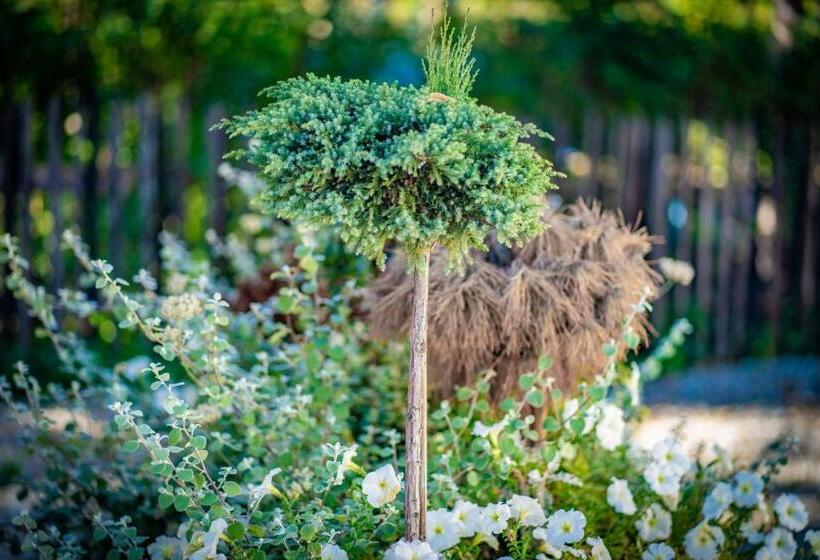 Domek Góralski   Górski Hyr