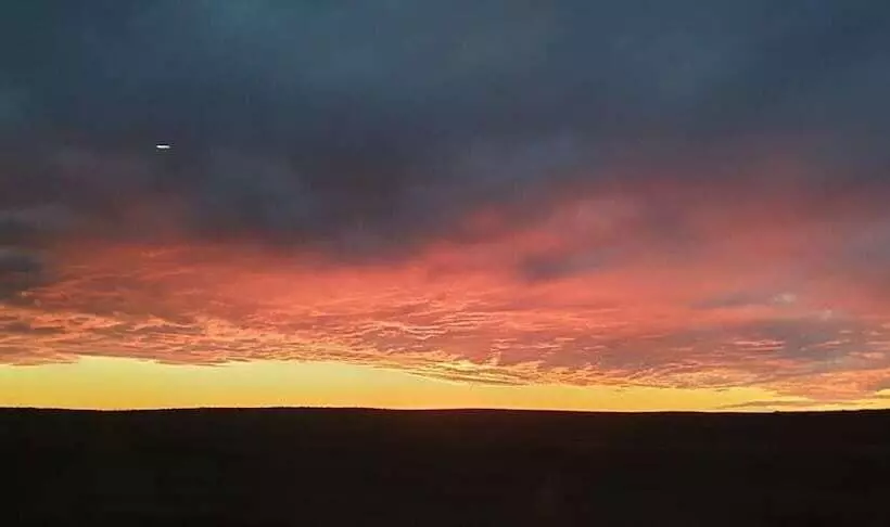 Hotelli Tranquil Nest