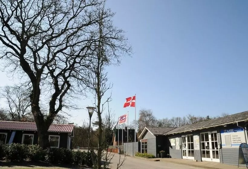 Ribe Camping