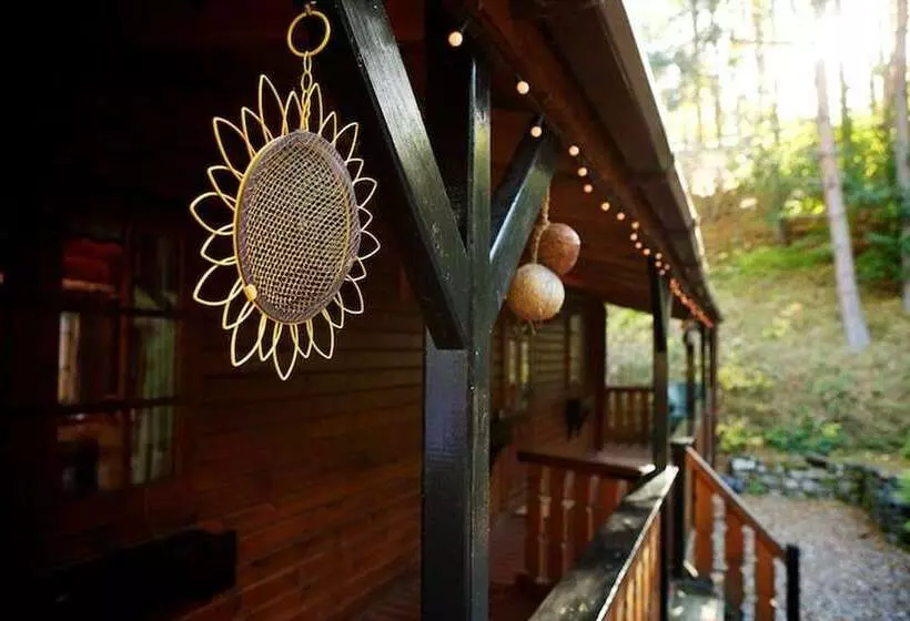 Twa Hoots Lodge