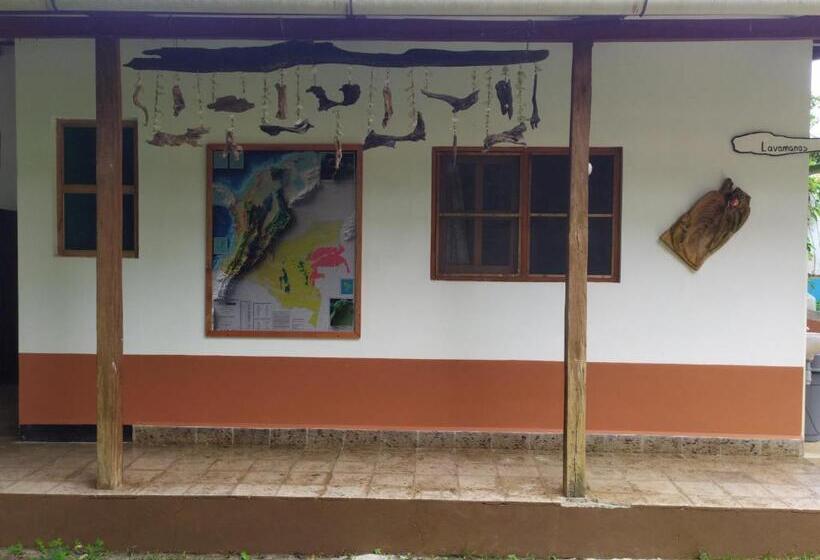 旅馆 Tiki Lounge Necoclí