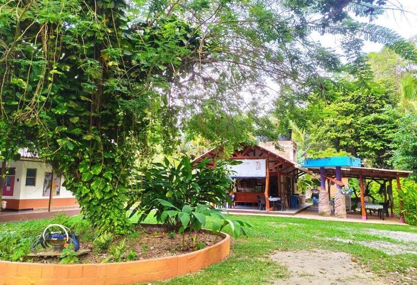 旅馆 Tiki Lounge Necoclí