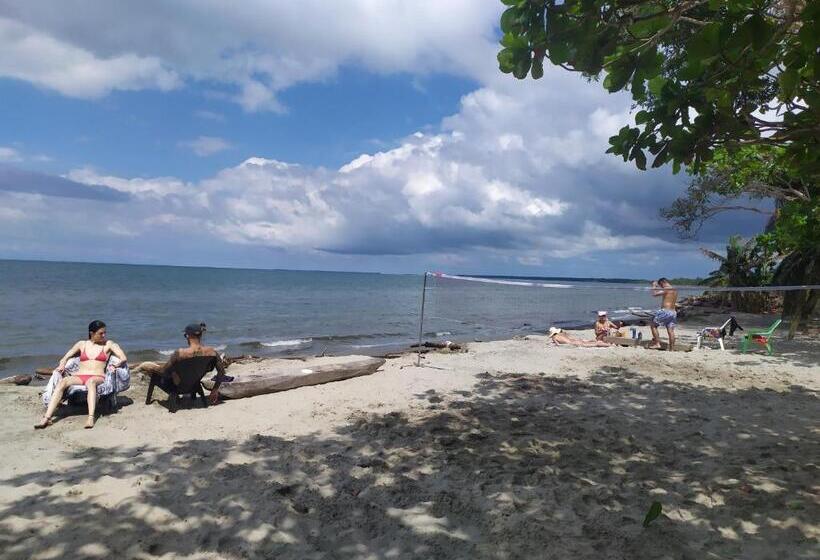 旅馆 Tiki Lounge Necoclí