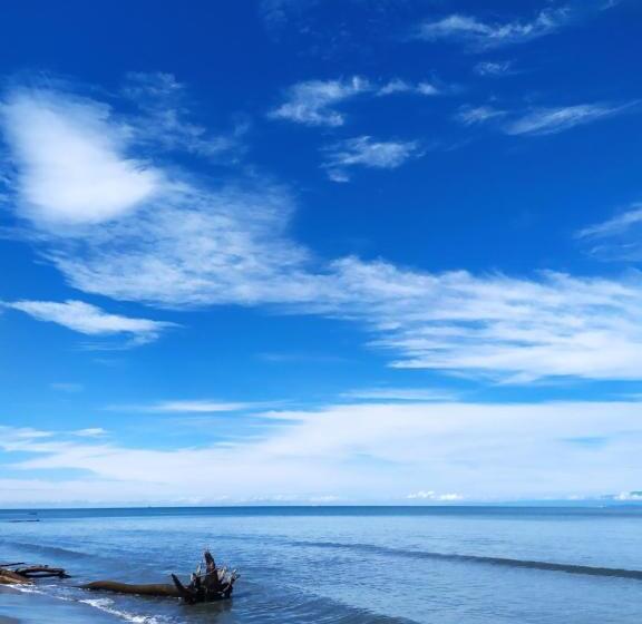 旅馆 Tiki Lounge Necoclí