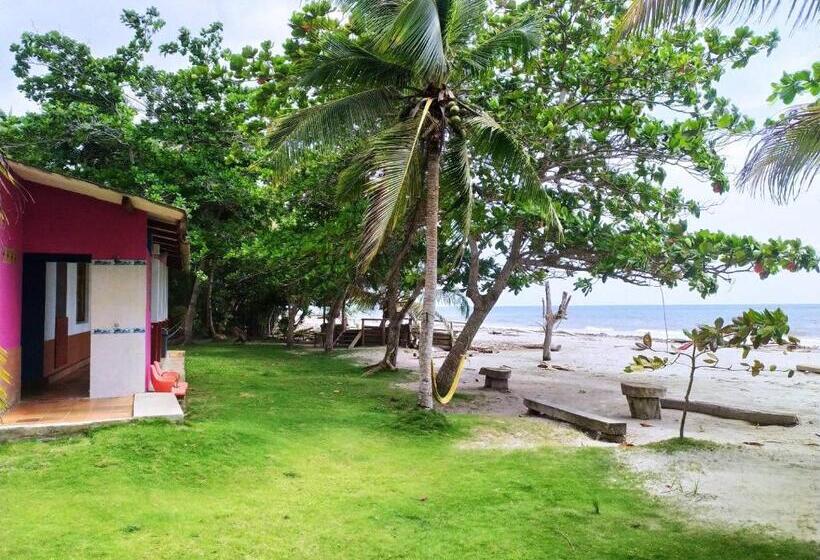 旅馆 Tiki Lounge Necoclí