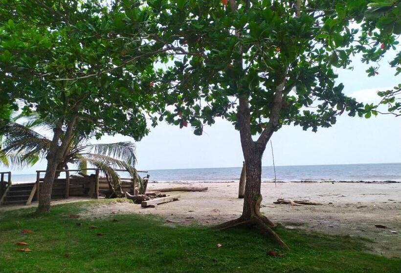 旅馆 Tiki Lounge Necoclí