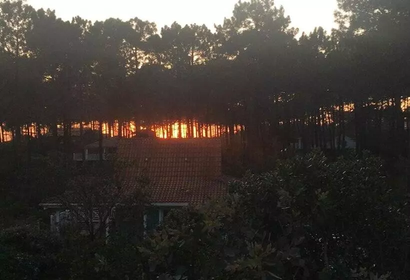 Chalet Orange Naturiste La Jenny