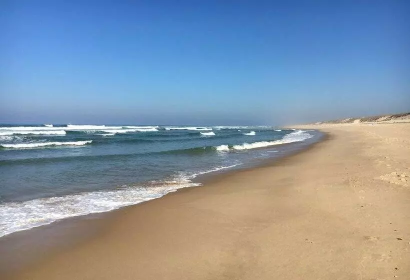 Chalet Orange Naturiste La Jenny