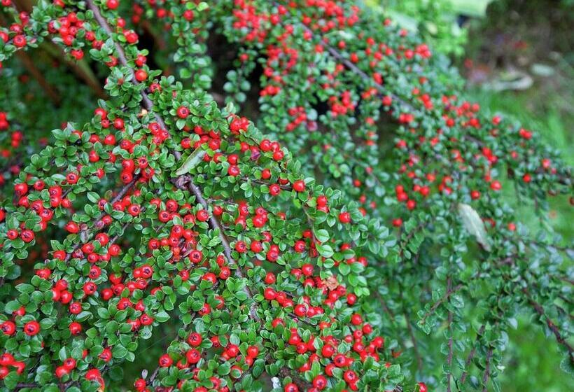 Cozy Apartment In Kerpen With Garden