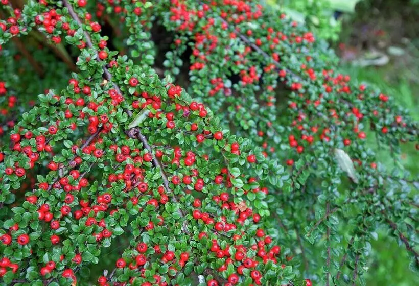 Cozy Apartment In Kerpen With Garden