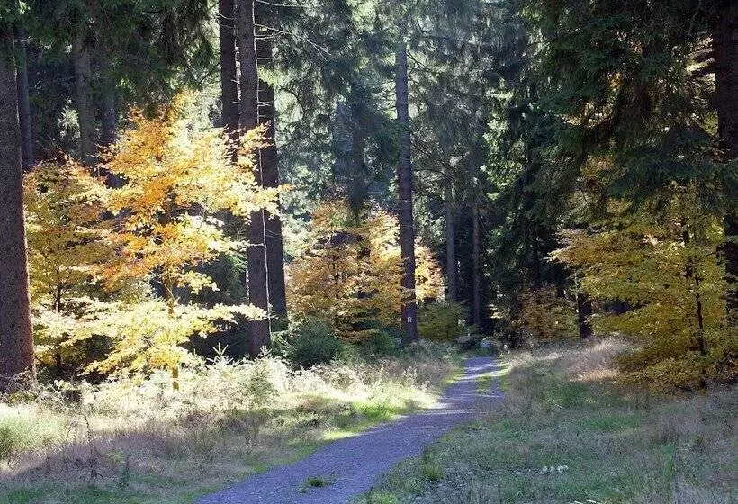 Cozy Apartment In Kerpen With Garden