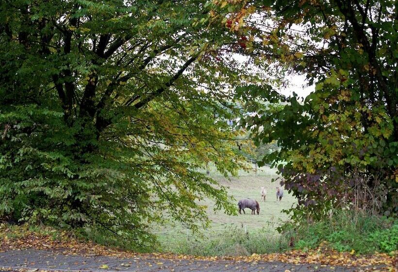 Cozy Apartment In Kerpen With Garden