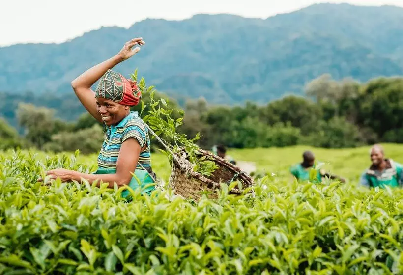 هتل One&only Nyungwe House