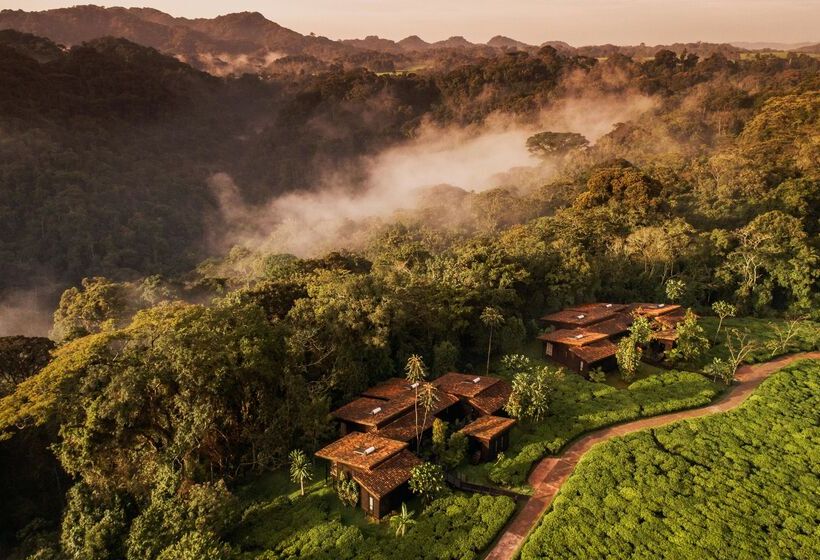 هتل One&only Nyungwe House