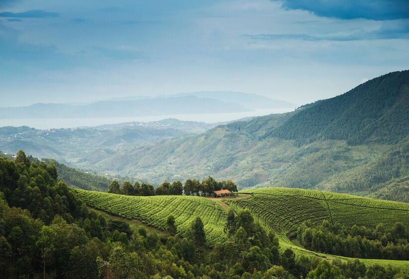 هتل One&only Nyungwe House