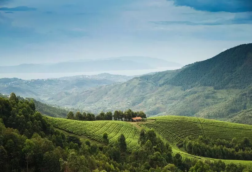 هتل One&only Nyungwe House