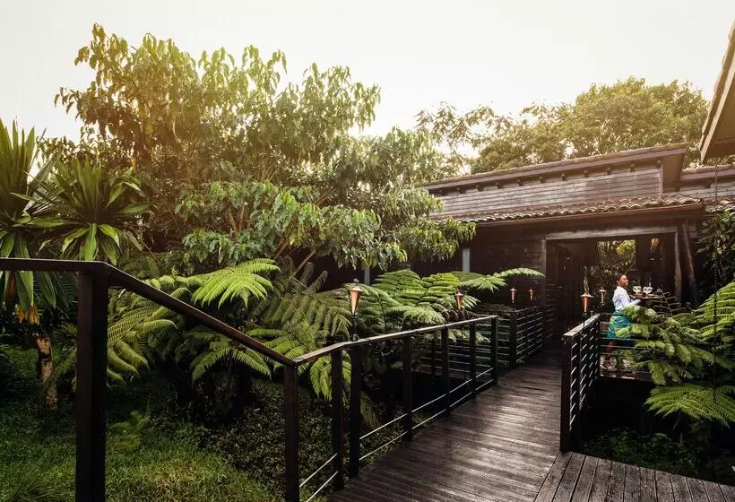 هتل One&only Nyungwe House