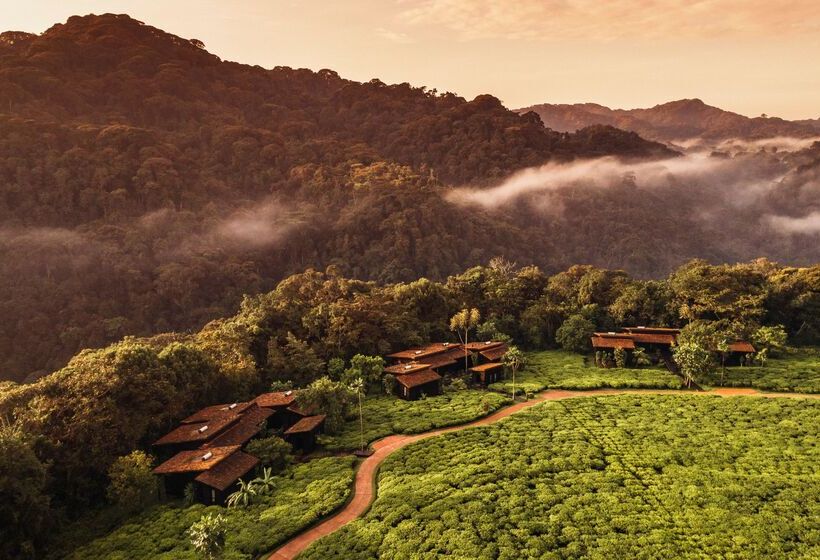 هتل One&only Nyungwe House