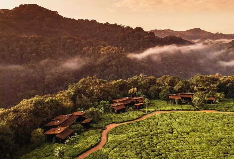 هتل One&only Nyungwe House