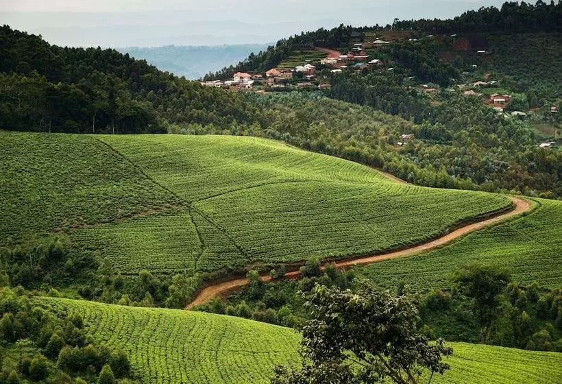 هتل One&only Nyungwe House