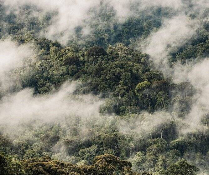 هتل One&only Nyungwe House