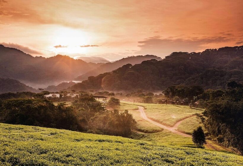 هتل One&only Nyungwe House