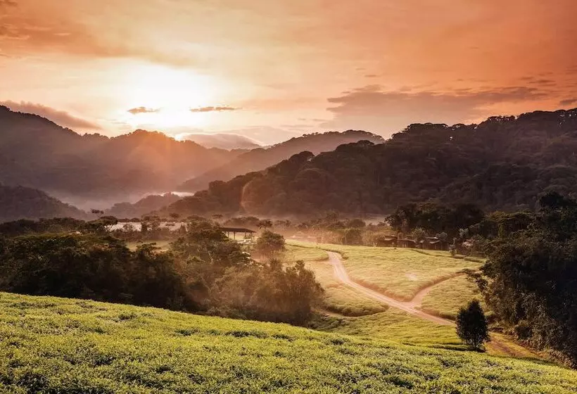 هتل One&only Nyungwe House