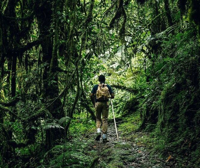 هتل One&only Nyungwe House