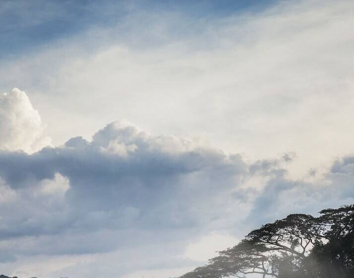 هتل One&only Nyungwe House