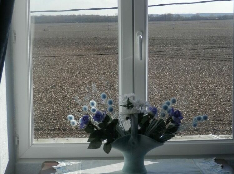 Pension Château Ardilleux