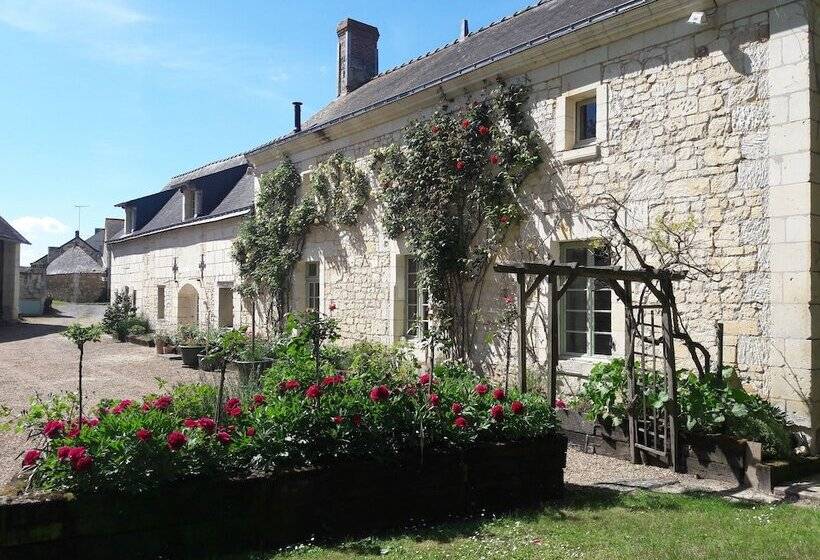 بنسيون La Cotinière