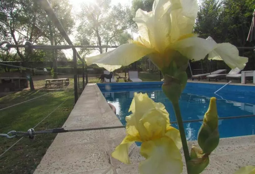 Majatalo Posada La Rosita