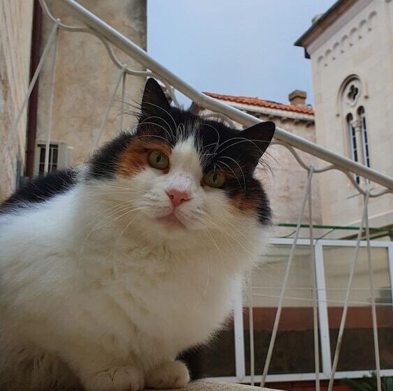 Heart Of The City Apartments