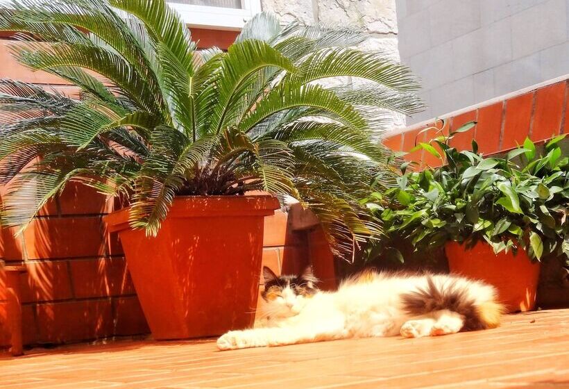 Heart Of The City Apartments