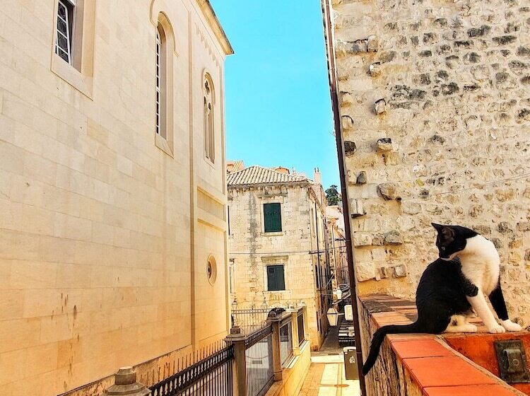 Heart Of The City Apartments