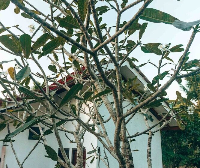 Отель Handun Villas