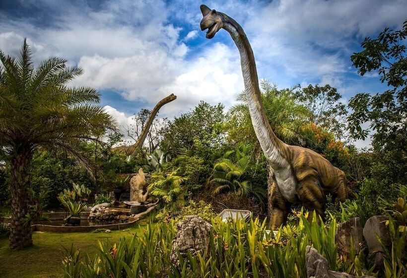 בית מלון כפרי M Village Hostel