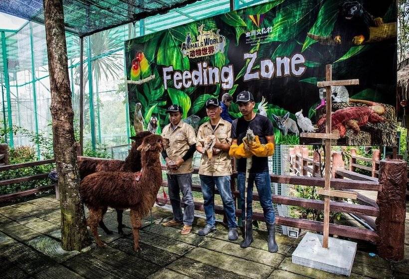 בית מלון כפרי M Village Hostel