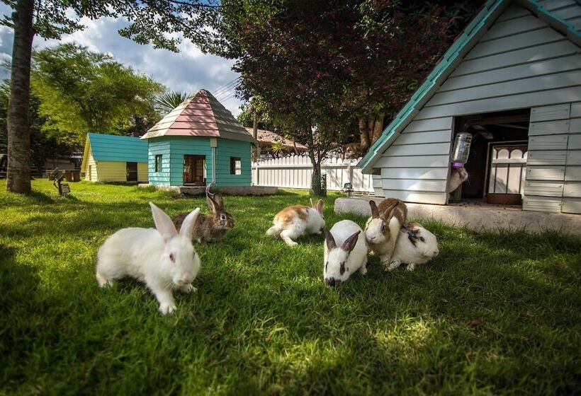 בית מלון כפרי M Village Hostel